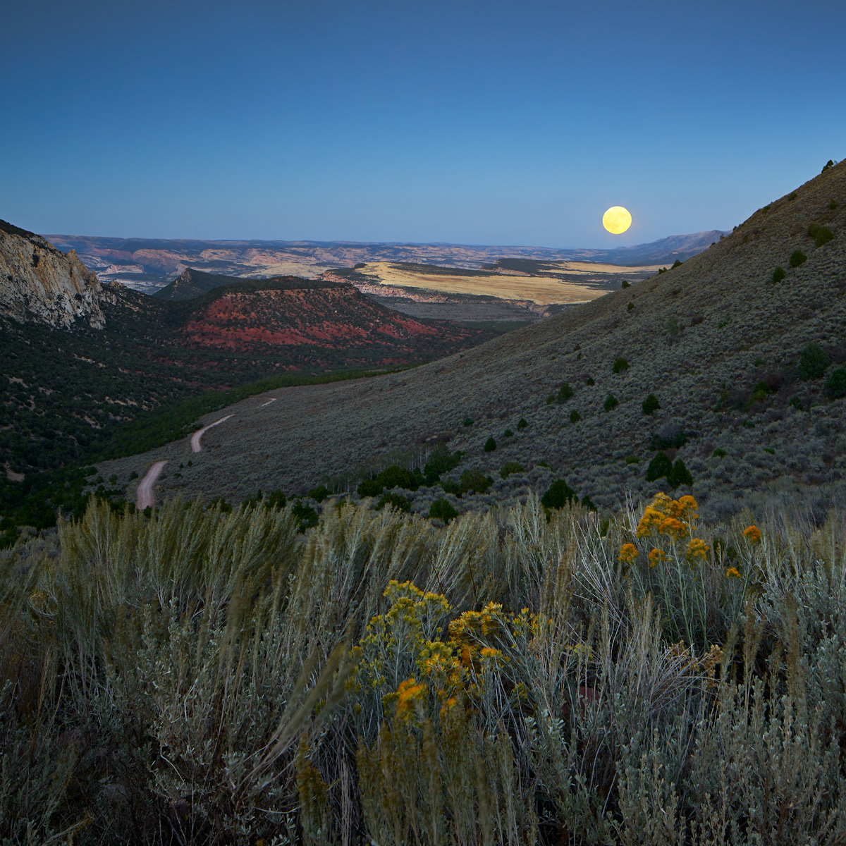 David Patterson Photography/Fine Art Photography of Landscape, Dinosaur National Monument