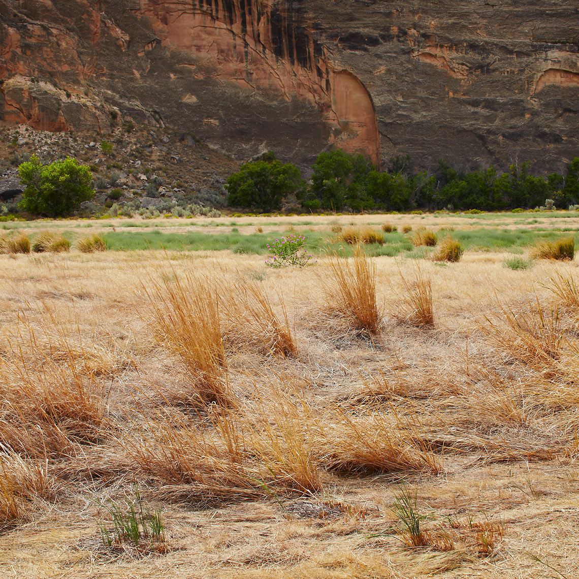 David Patterson Photography/Fine Art Photography of Landscape, Dinosaur National Monument